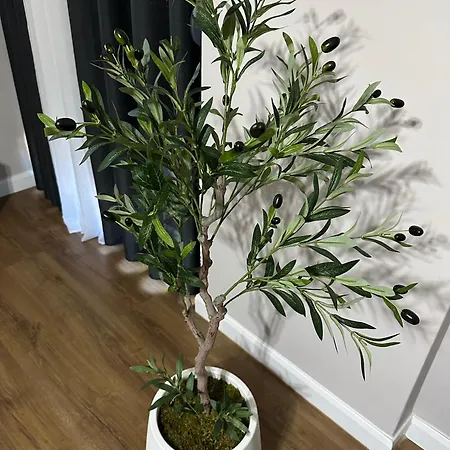 The Newspapers Apartman Tirana