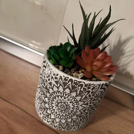 Apartman The Newspapers Tirana